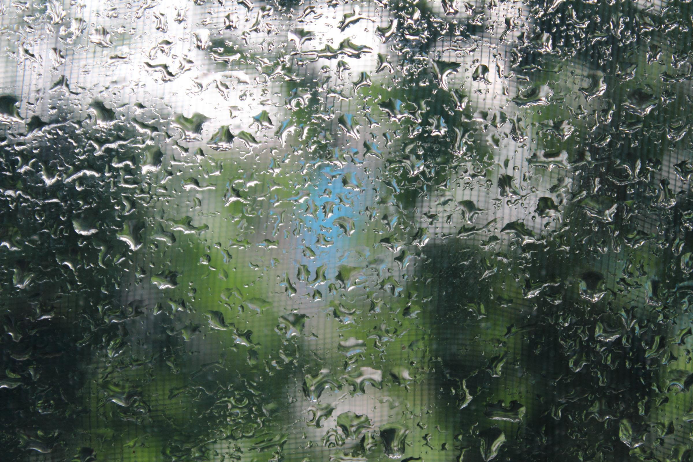 raindrops on window raindrops on window