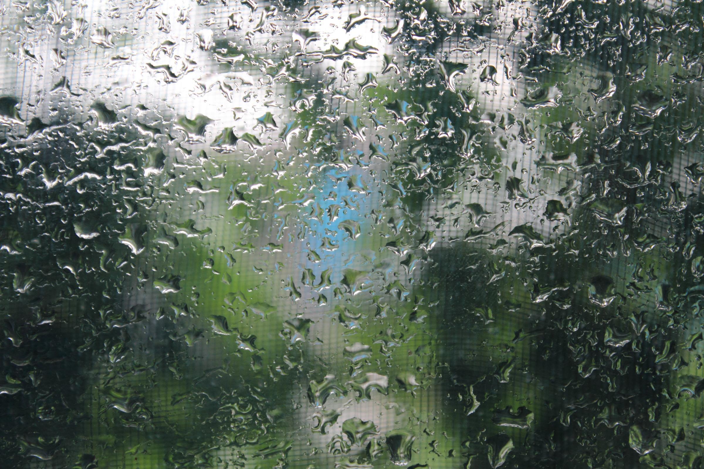 raindrops on window